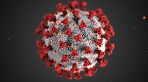 Covid-19 Virus